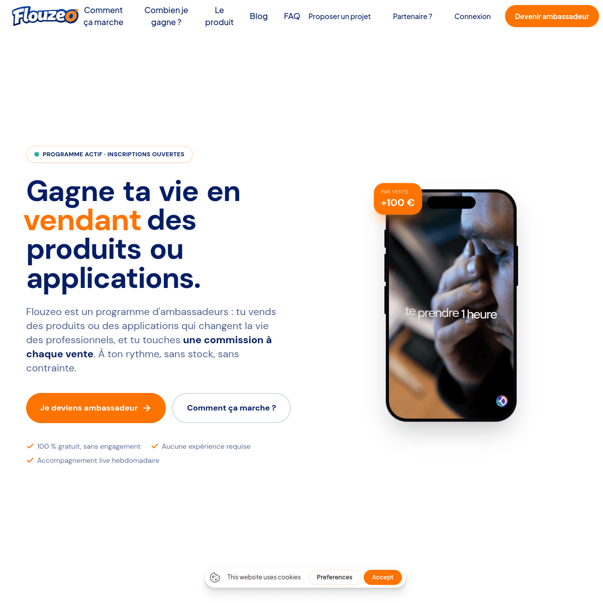Aperçu du site Flouzeo